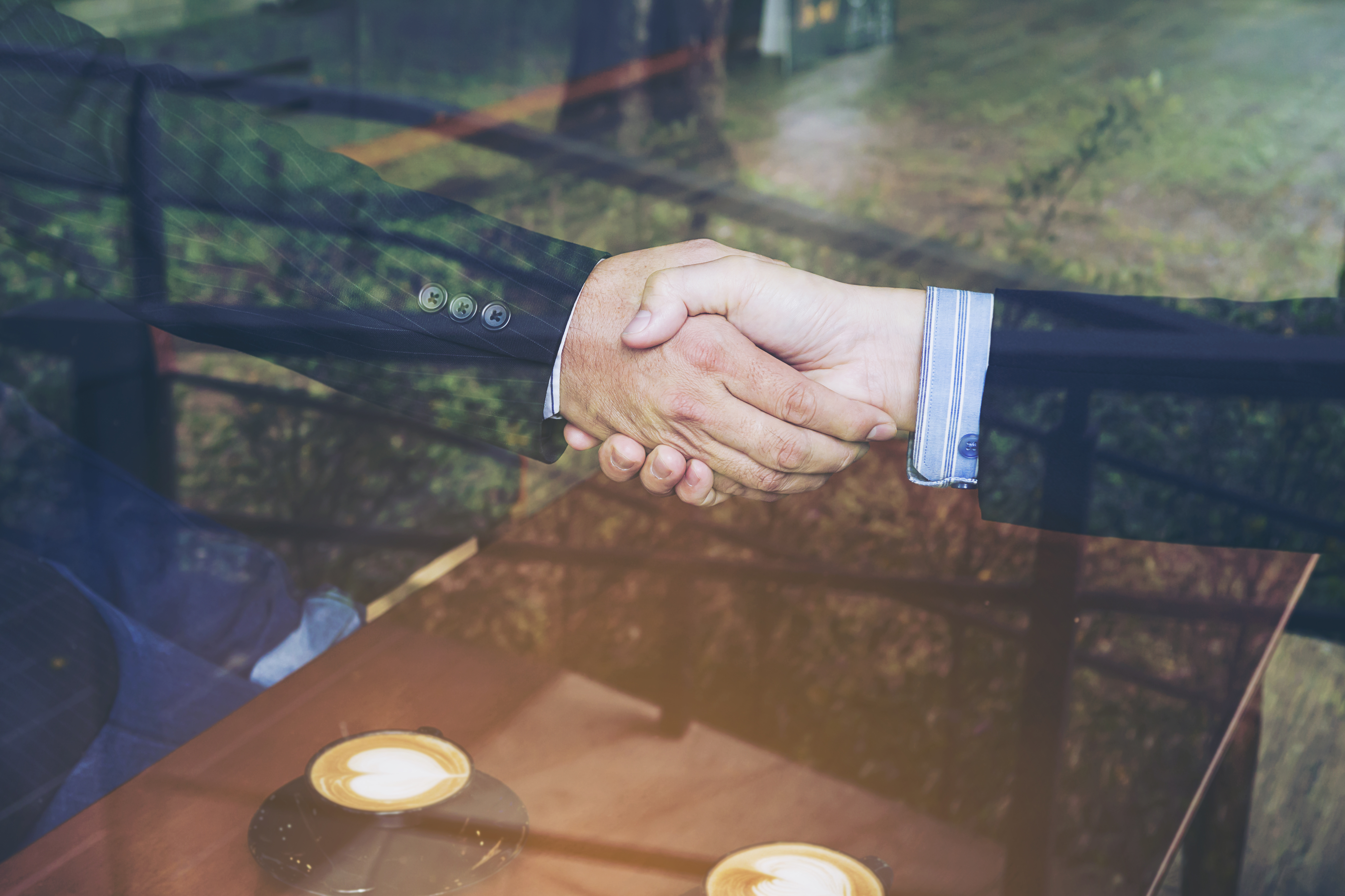 Business Partnerships & Franchise Opportunities