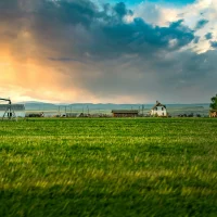 Illu’s Farm House